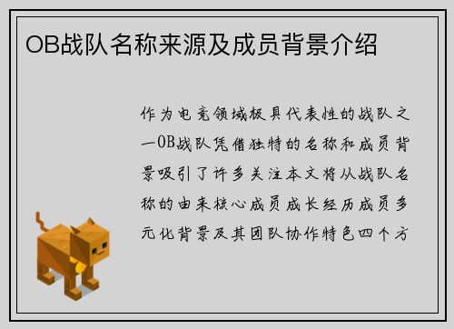 OB战队名称来源及成员背景介绍